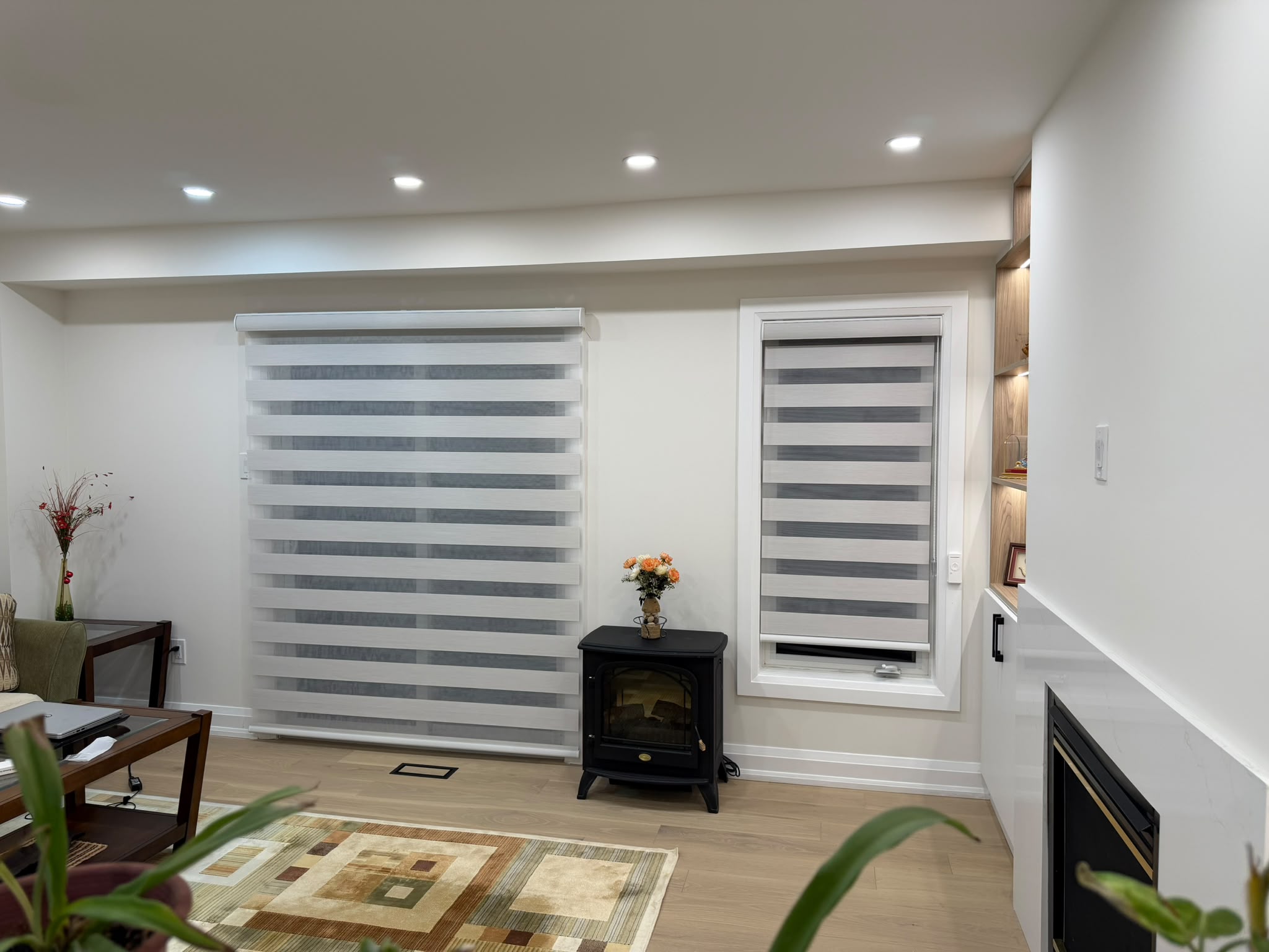 Modern Interior Window Shades