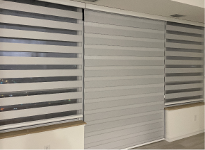 Zebra Blind window treatments