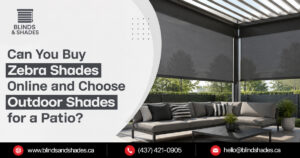 Can You Buy Zebra Shades Online and Choose Outdoor Shades for a Patio?
